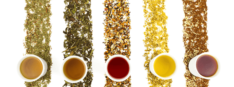 Thés & Infusions