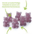 Composition et ingrédients des bonbons à infuser Yaourt Myrtille – Papothé (Papo'Thé)