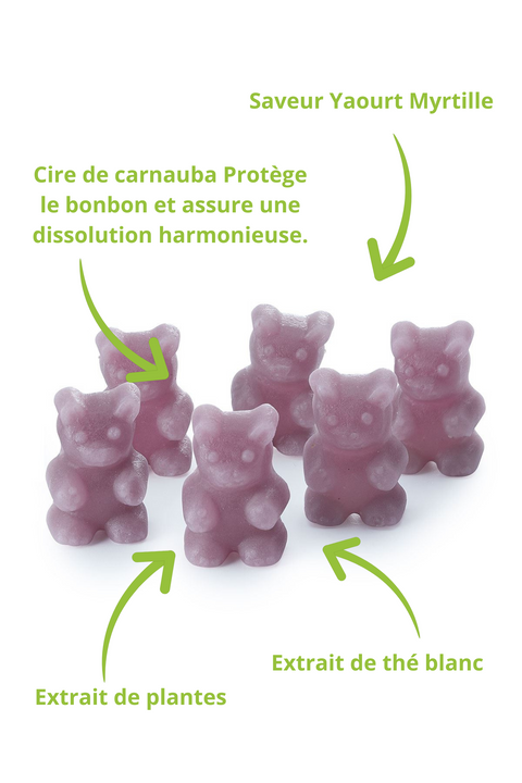 Composition et ingrédients des bonbons à infuser Yaourt Myrtille – Papothé (Papo'Thé)