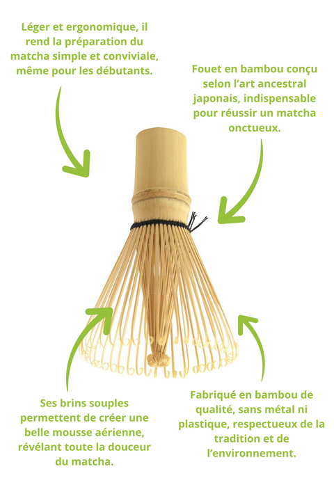 Le Chasen Traditionnel – Fouet à Matcha Bambou 80 Brins