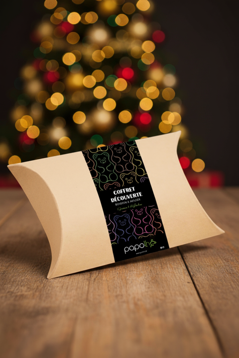Coffret cadeau de 6 saveurs de bonbons à infuser dans sa boîte berlingot kraft – Papothé (Papo'Thé)