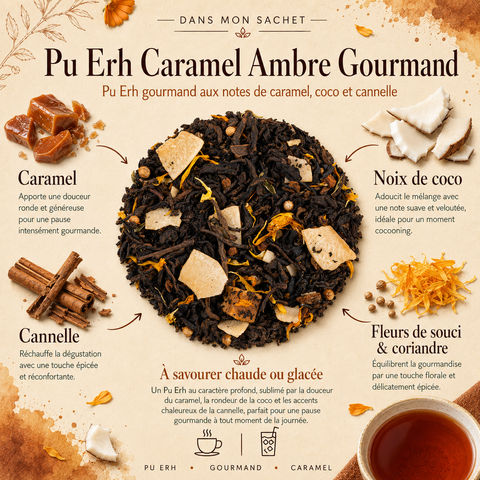 Visuel Dans mon sachet du Pu Erh Caramel Ambre Gourmand Papothé, un thé profond au caramel, coco et cannelle, idéal pour une pause chaude ou glacée douce, réconfortante et gourmande.